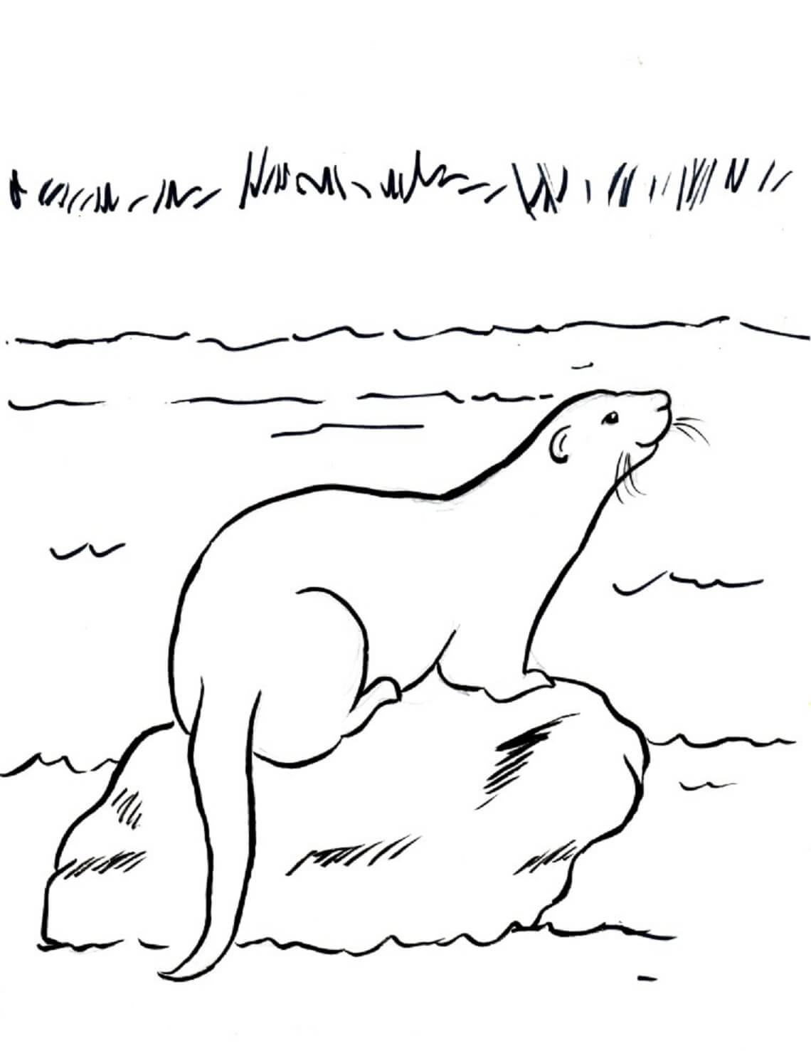 River Otter coloring page