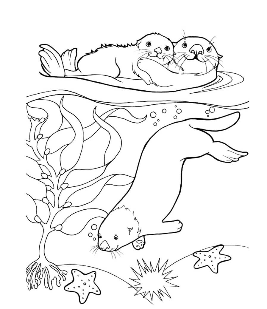 Three Otters coloring page