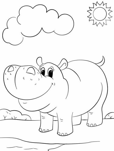 Free Hippo Image HD