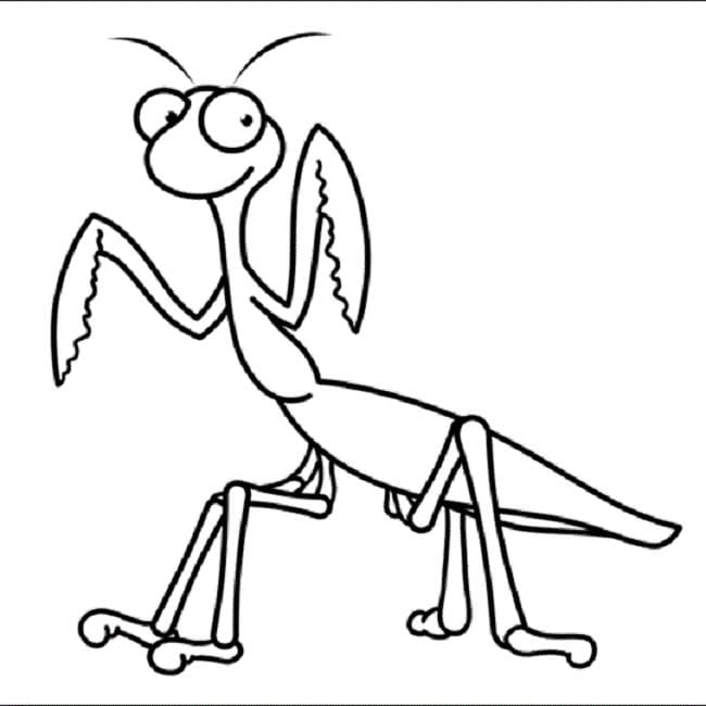 Free Mantis coloring page