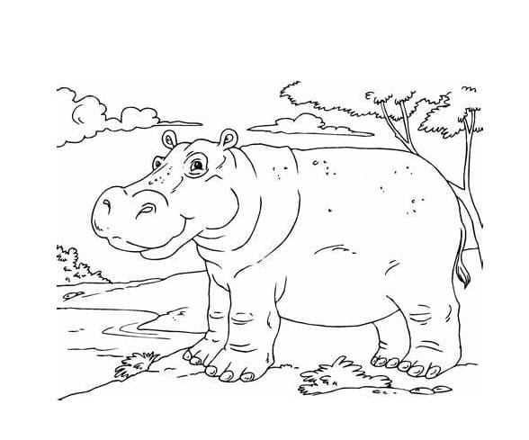 Free Print Hippo coloring page