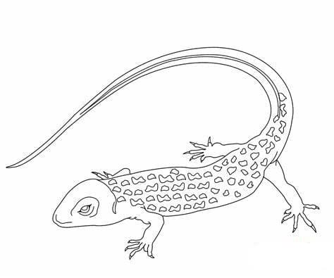 Free Print Lizards Image Outline