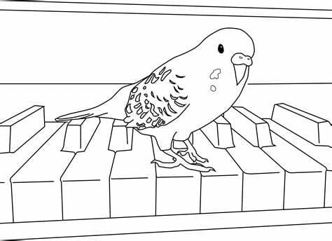 Lovely Parakeet coloring page