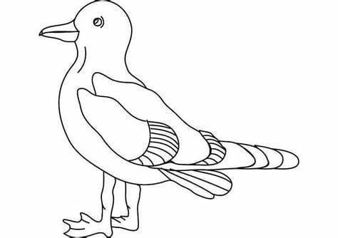 Normal Seagulls coloring page