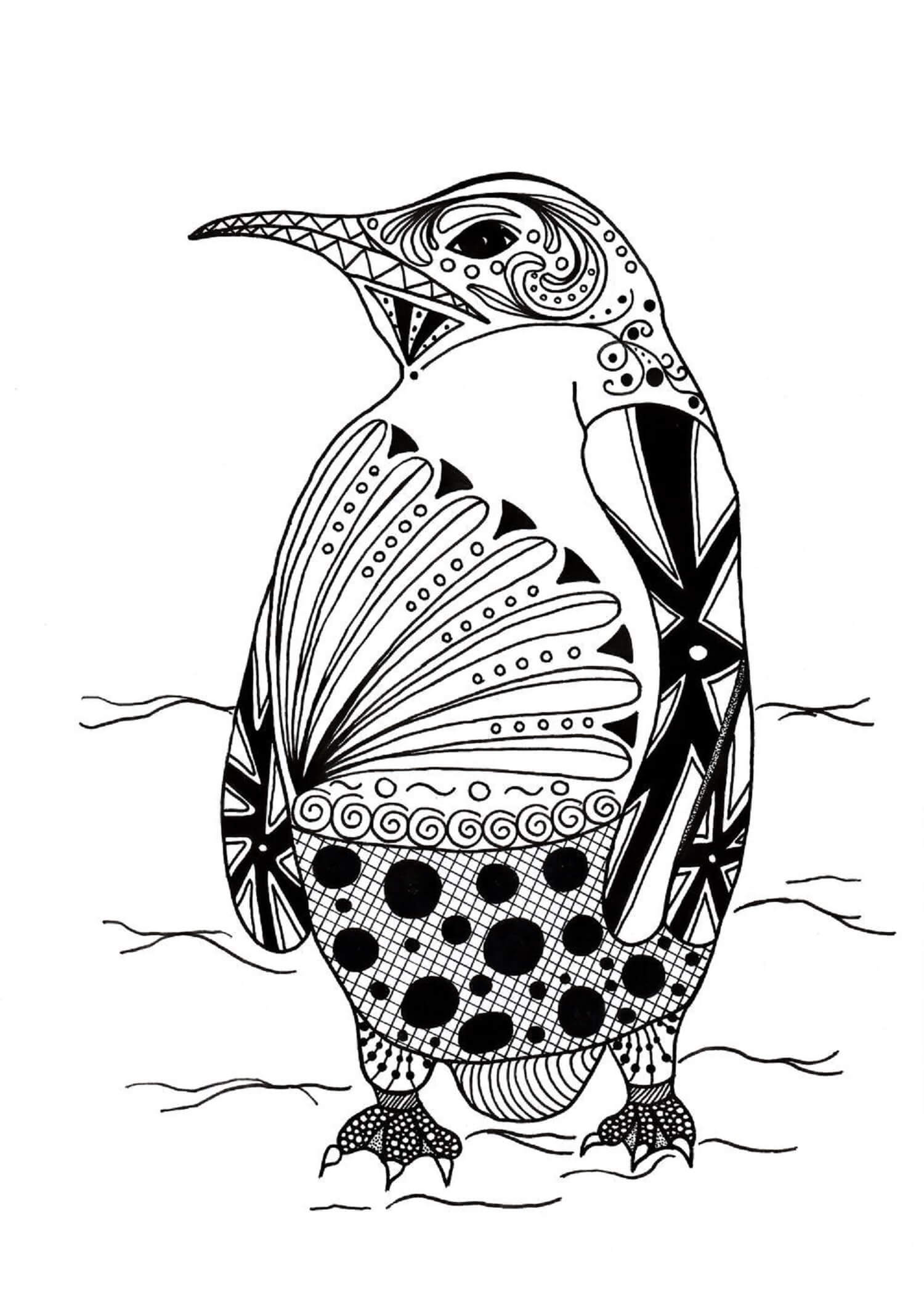 Penguin Is For Adult coloring page