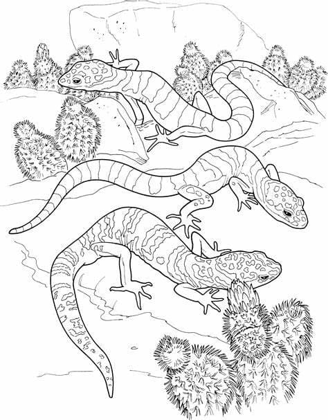 Print Lizards