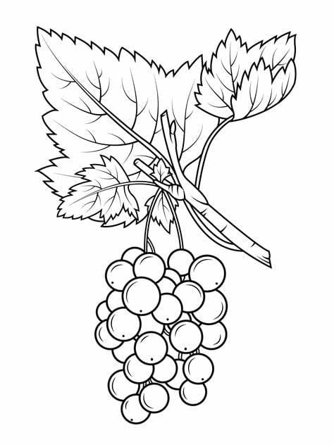 Printable Grape