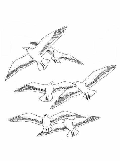 Printable Seagulls coloring page