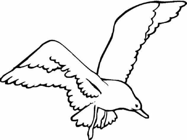 Printable Seagulls Image coloring page