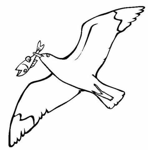 Seagulls Eat Bait coloring page