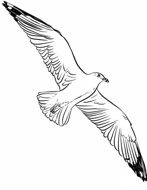 Seagulls Flying coloring page