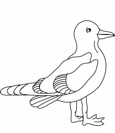 Seagulls Standing Image coloring page