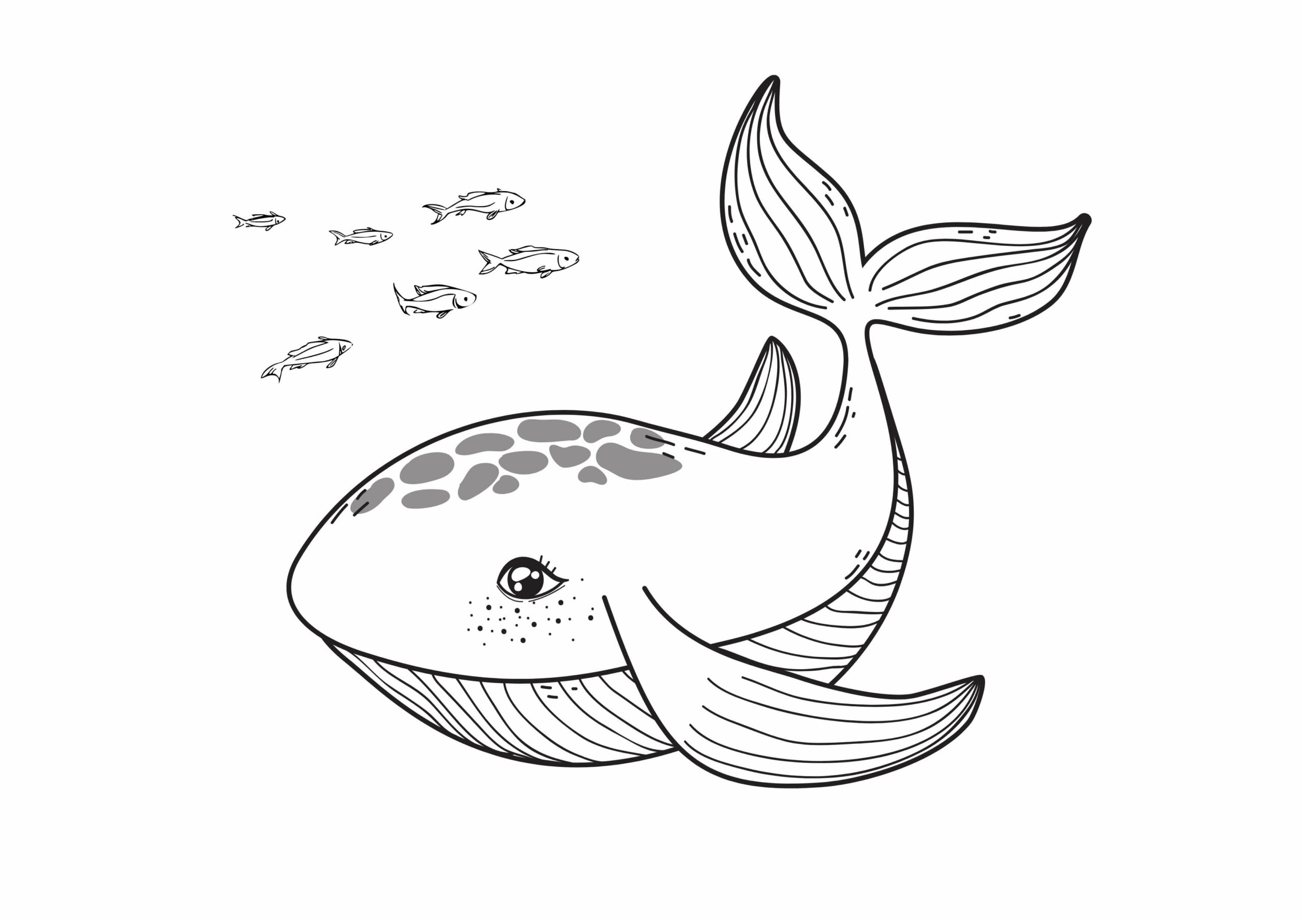 Adorable Whale coloring page