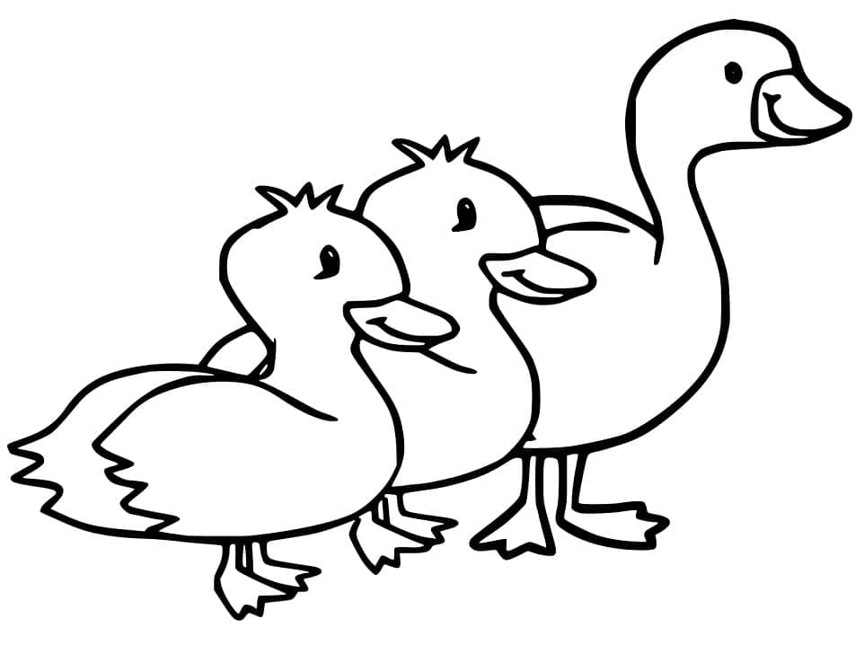 Duck and Duckling coloring page