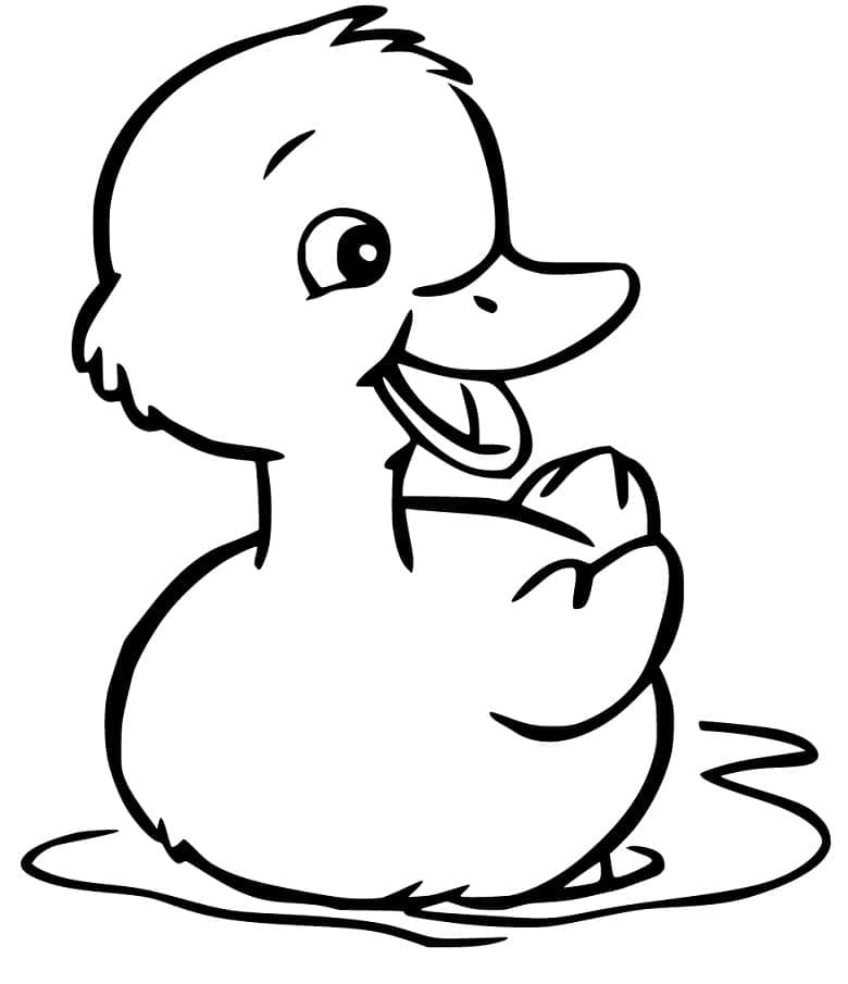 Duckling coloring pages