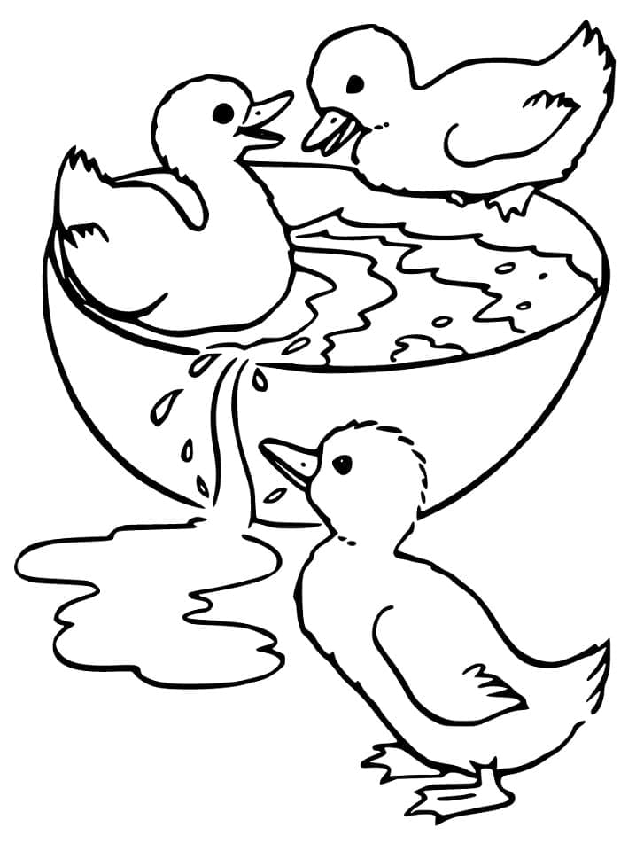 Ducklings coloring page