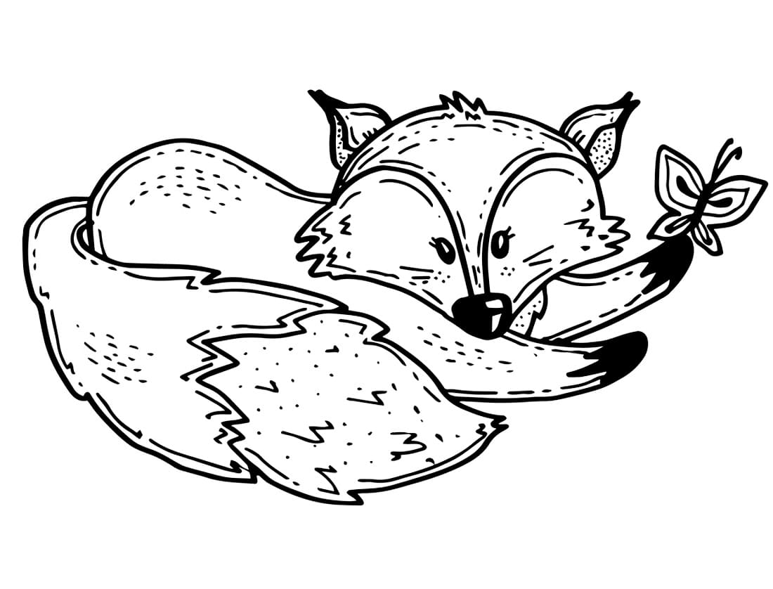 Fox and Butterfly coloring page