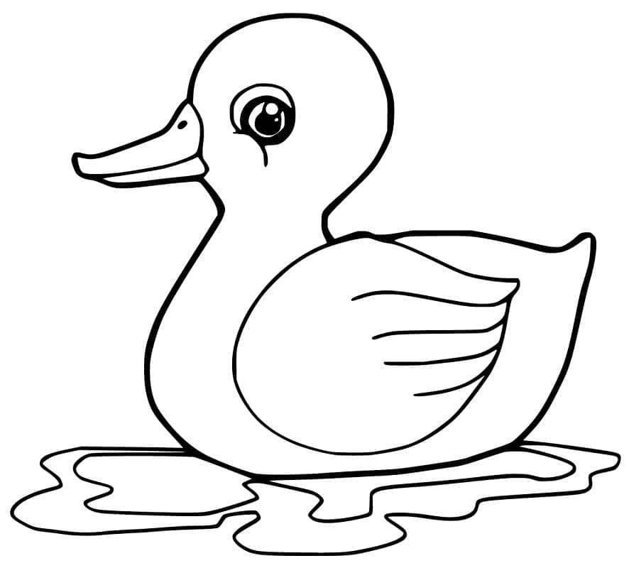 Free Duckling coloring page