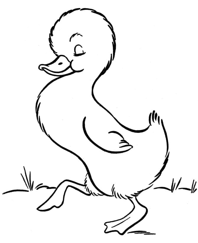 Walking Duckling coloring page