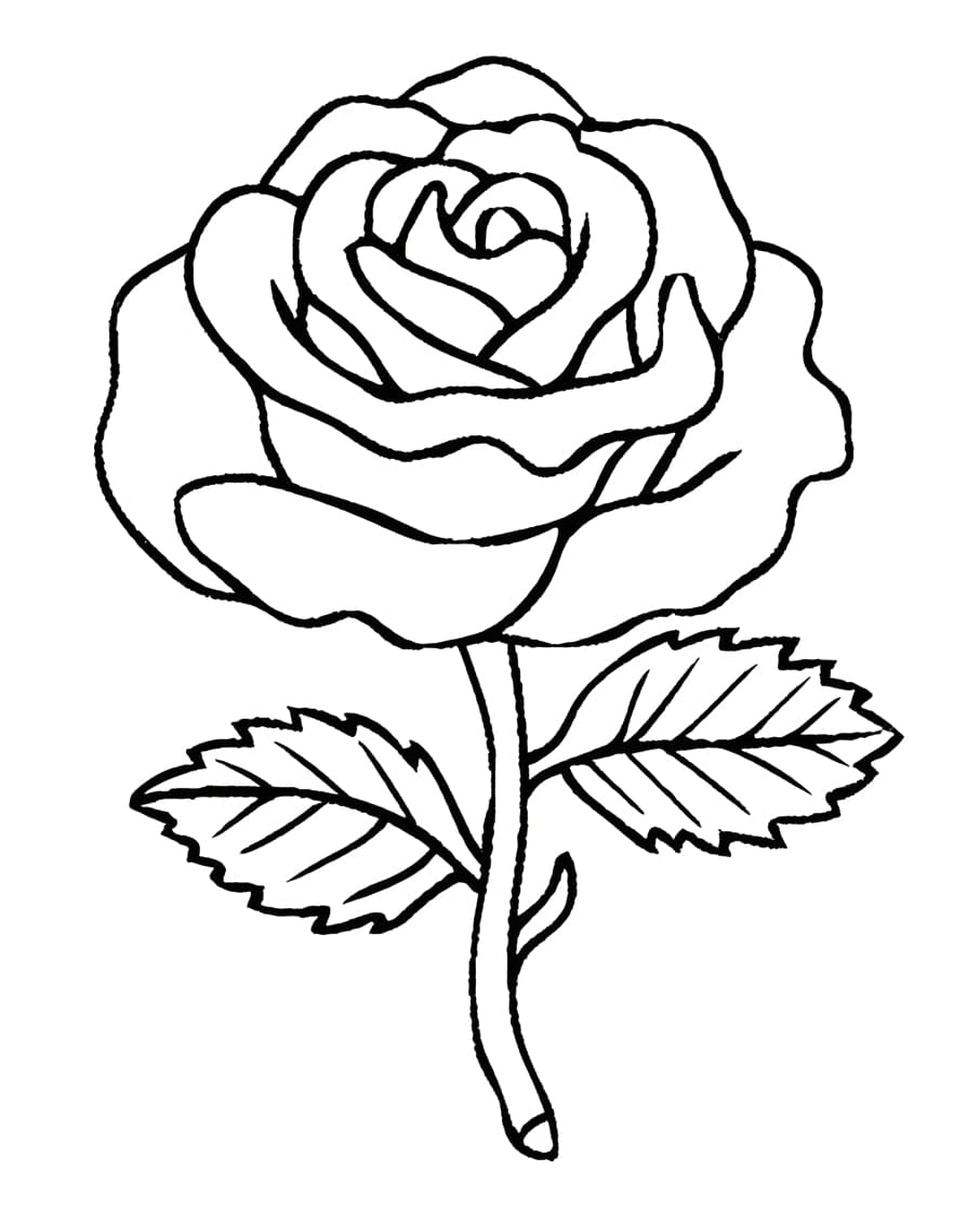 A Beautiful Rose Flower coloring page - Download, Print or Color Online ...