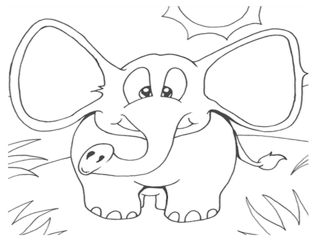 A Funny Elephant