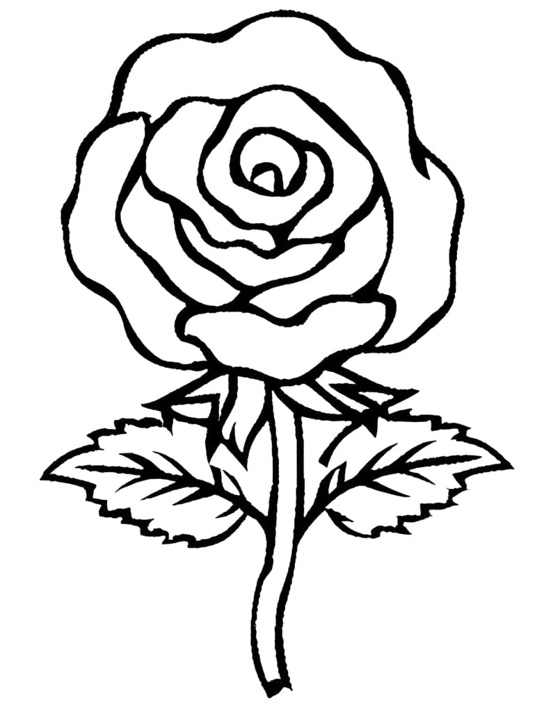 A Rose Flower coloring page - Download, Print or Color Online for Free