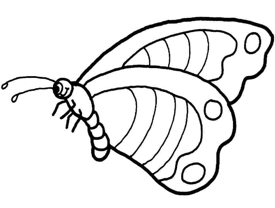 Pretty Butterfly coloring page - Download, Print or Color Online for Free