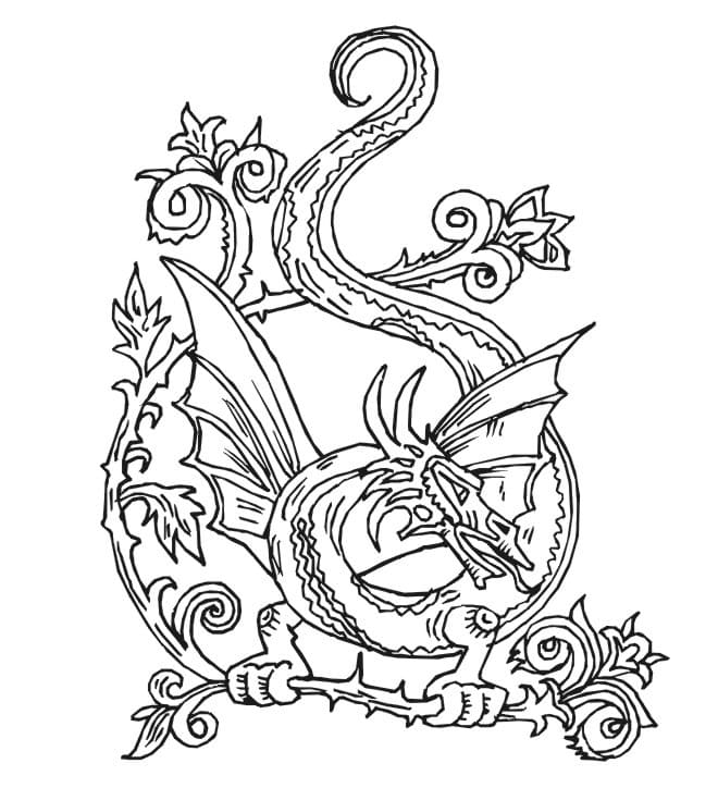 Dragon Drawing Printable coloring page