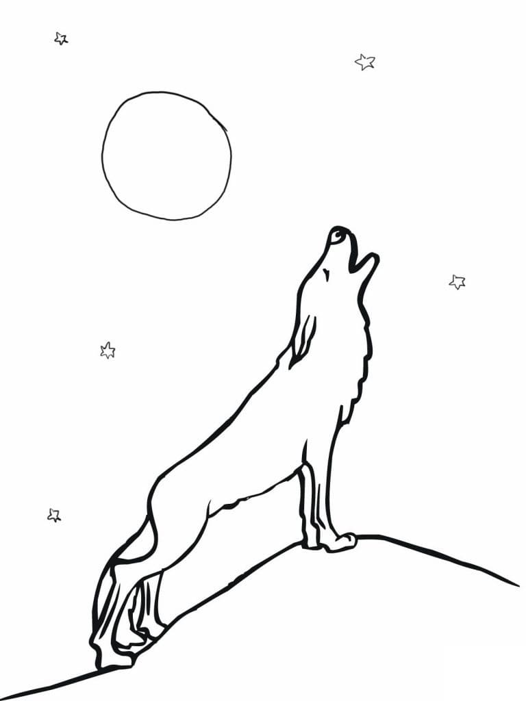 wolf pictures to print and color