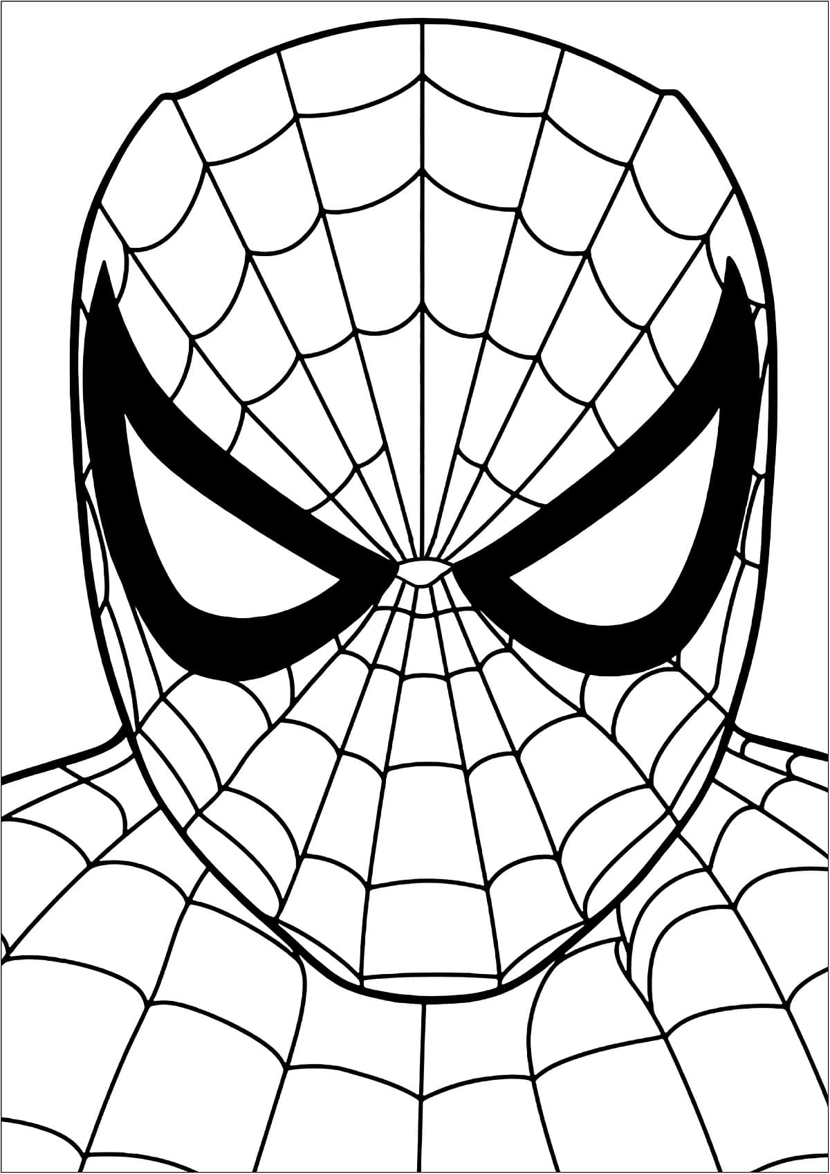 Spider Man Image Coloring Page Download Print Or Color Online For Free