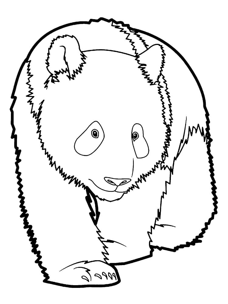 A Panda coloring page