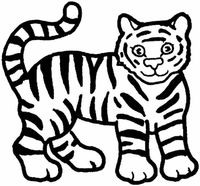 Free tiger drawing to download and color - Tigers Kids Coloring Pages
