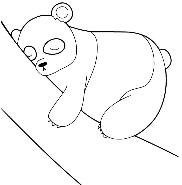 Sleeping Panda