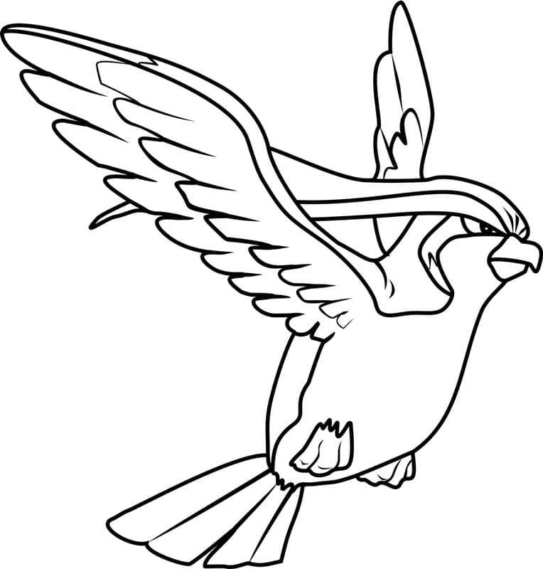 Pidgeot Pokemon Coloring Page Download Print Or Color Online For Free