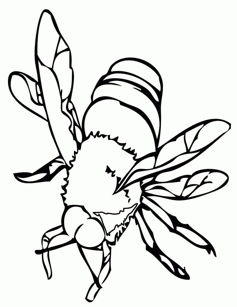 Printable Bee coloring page