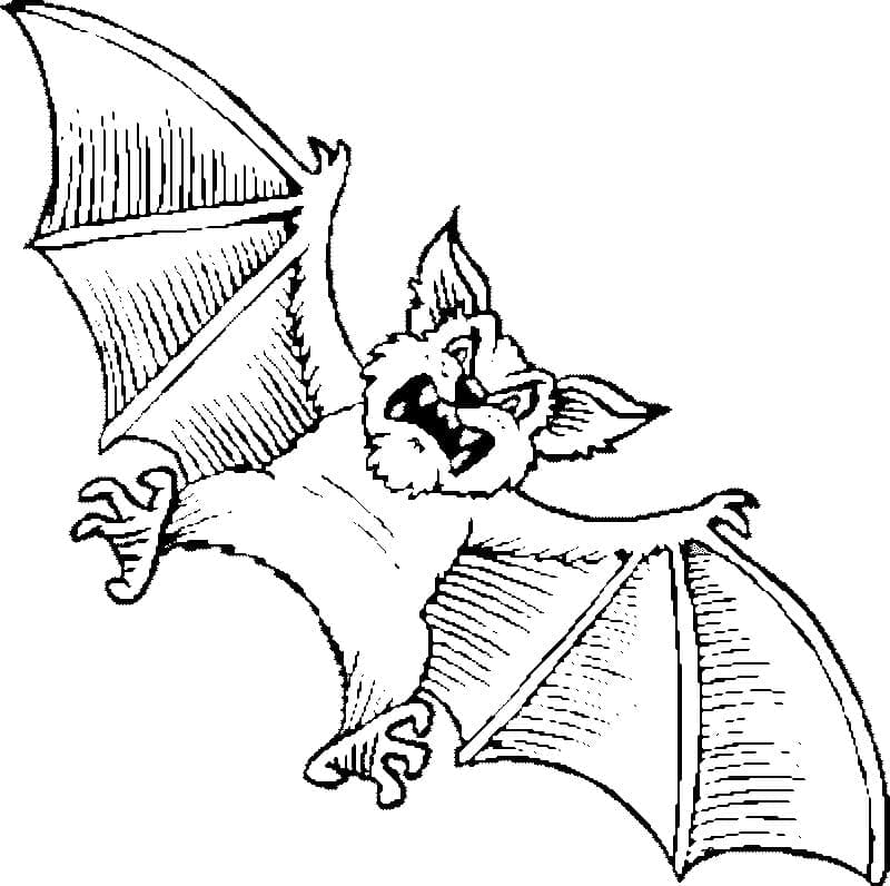 Angry Bat