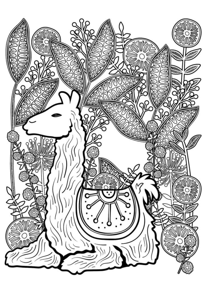 Antistress Llama coloring page