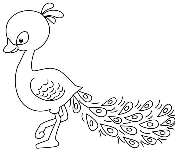 Baby Peacock coloring page