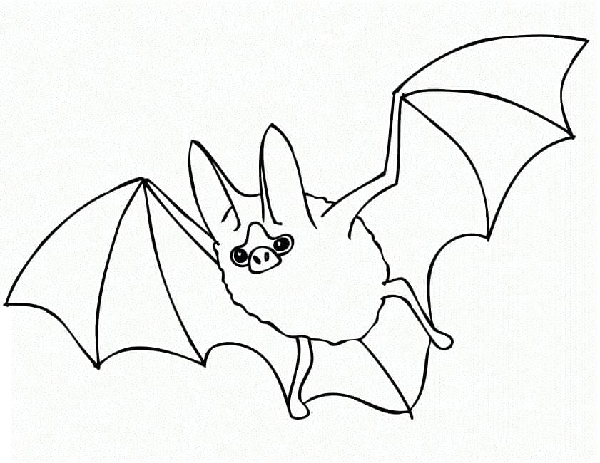 Bat Printable coloring page