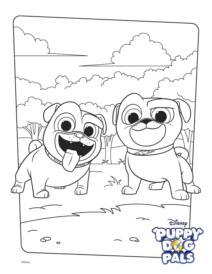 Bingo and Rolly from from Puppy Dog Pals