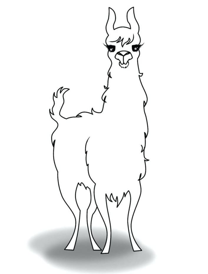 Free Printable Llama coloring page