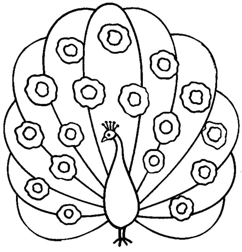 Free Printable Peacock coloring page