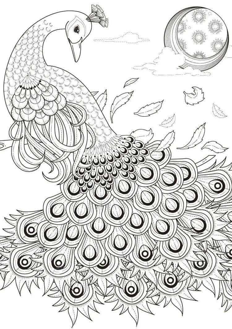 Graceful Peacock coloring page