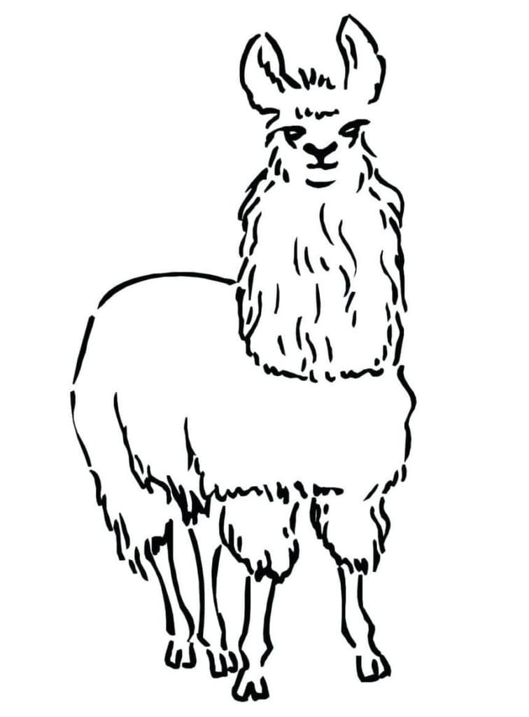 Llama Printable For Kids