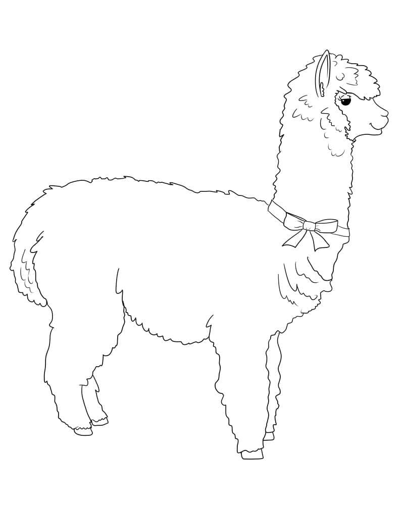 Llama with a Bow Tie coloring page