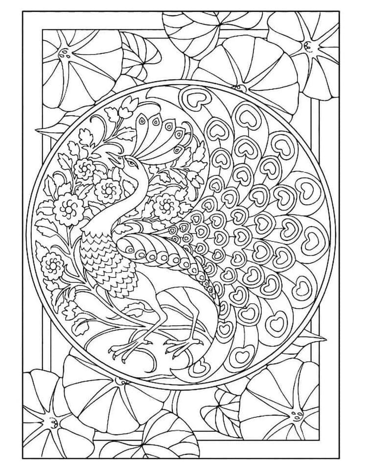 Peacock For Adults coloring page