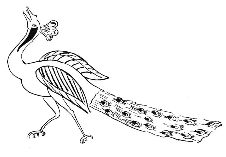 Peacock Free For Kids coloring page