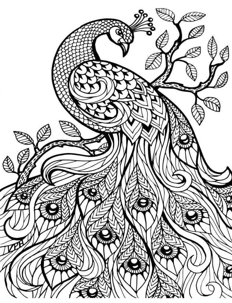 Printable Beautiful Peacock coloring page