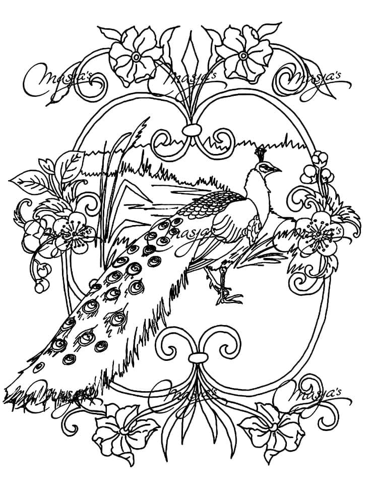 Printable Peacock coloring page