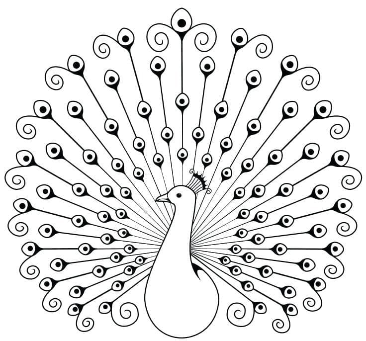 Symmetrical Peacock coloring page